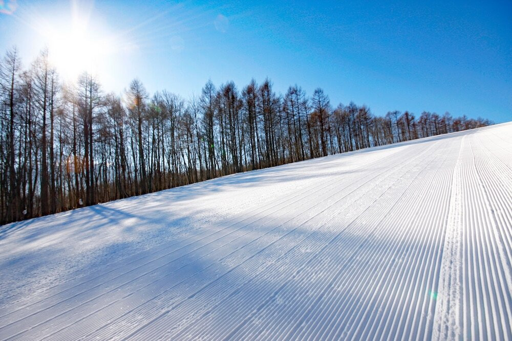 スノー スポーツとスキー