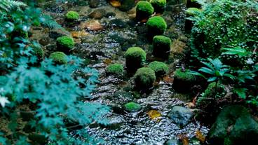 054_Room_Garden B / 15