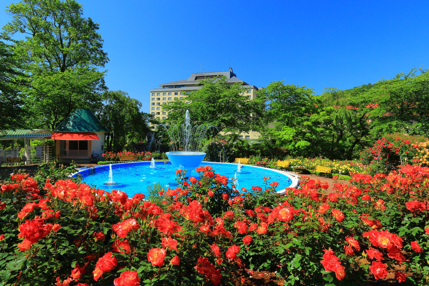 花巻温泉 バラ園