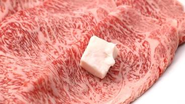 レストラン / 11