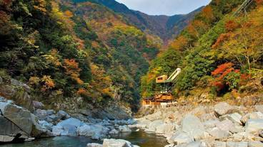露天風呂周辺 秋の風景 / 4