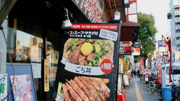 施設からの眺望 / 17