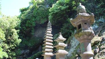 施設の敷地 / 31