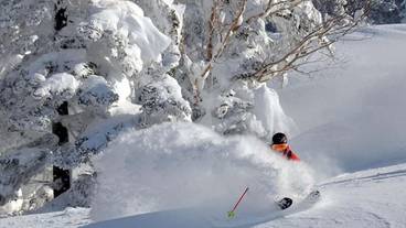 スノー スポーツとスキー / 6