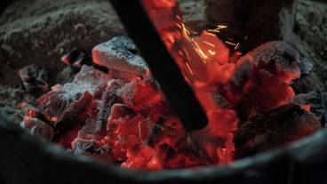 食事・飲み物 / 14