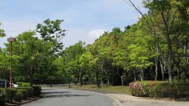 庭園 / 35
