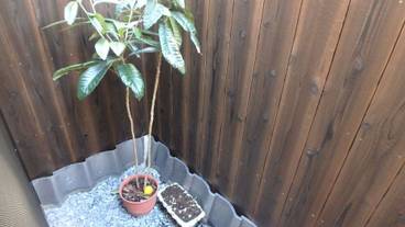 部屋からの景観 / 35