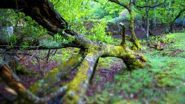 ランド ビュー / 24