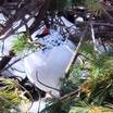 宿の周りでは雷鳥に会えることも…部屋に籠らず周りを散策