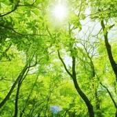 ペンション ペーパームーン(栃木県 ペンション) / 4