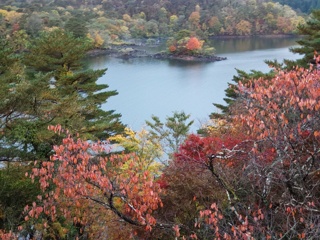 部屋からは檜原湖と絶景の紅葉が望める