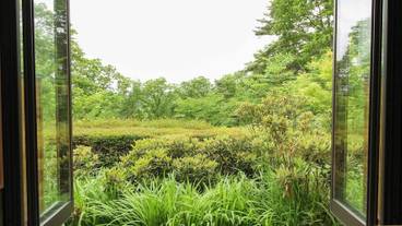 ランド ビュー / 8