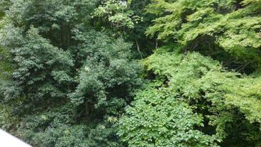 部屋からの景観 / 15