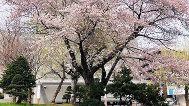 シティ ビュー / 18