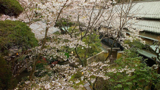 スタンダード トイレ付・シャワールームなし (禁煙)