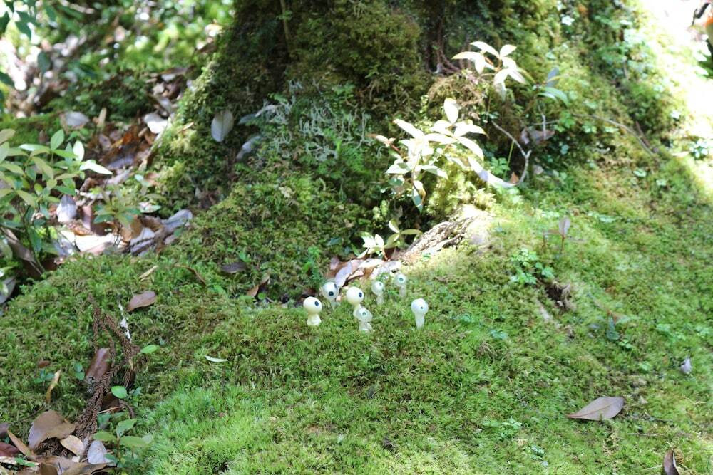 施設からの眺望