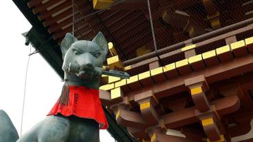 観光スポット / 7