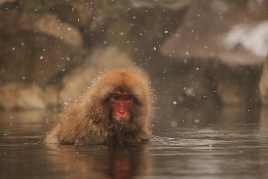 ちょっと変わった温泉でいつもの温泉旅をもっと楽しくしよう♪4083865