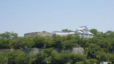 観光スポット / 10