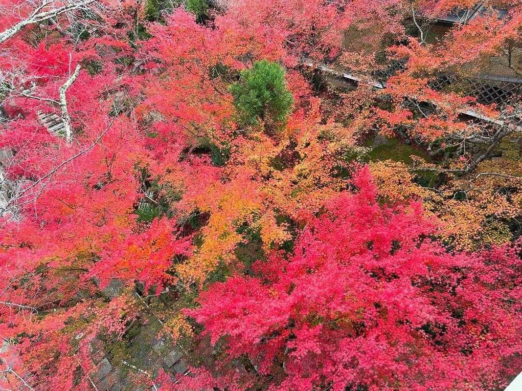 ks47travelさんの写真 / 1