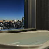 三井ガーデンホテル銀座プレミア（東京都 シティホテル） / 3