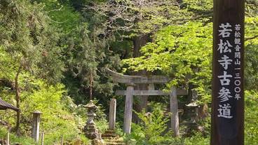 観光スポット / 30