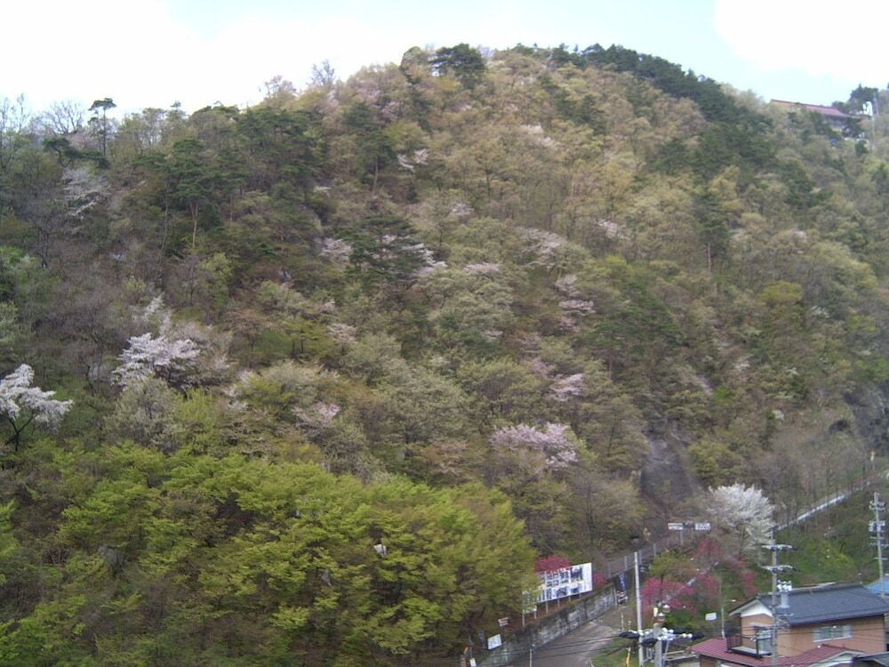 施設からの眺望