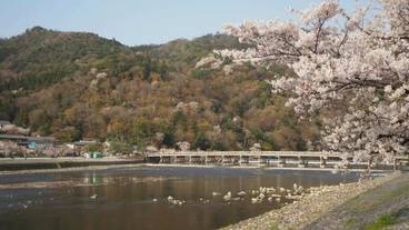 観光スポット / 6