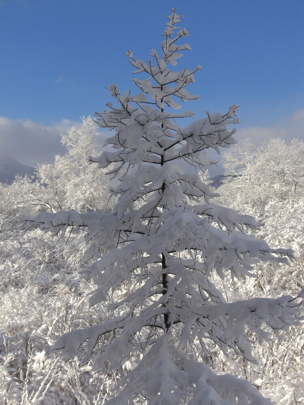 施設からの眺望