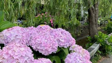 観光スポット / 6