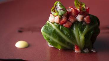 食事・飲み物 / 8