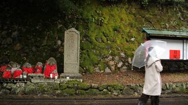 ランド ビュー / 15