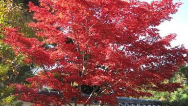 施設からの眺望 / 15