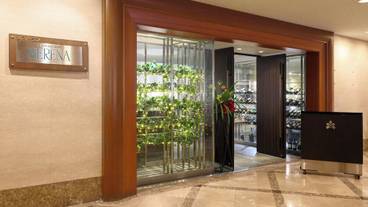 ビュッフェ / 31