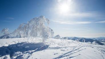 スキー ヒル / 8