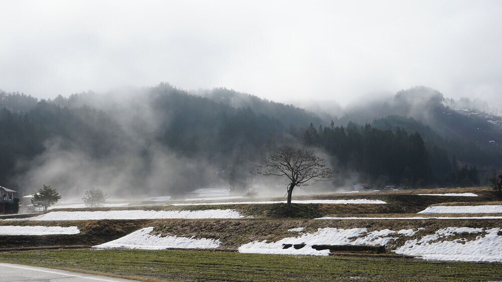 施設からの眺望