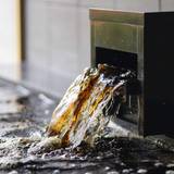 黒褐色の天然温泉 / 4