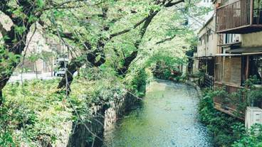 施設からの眺望 / 17