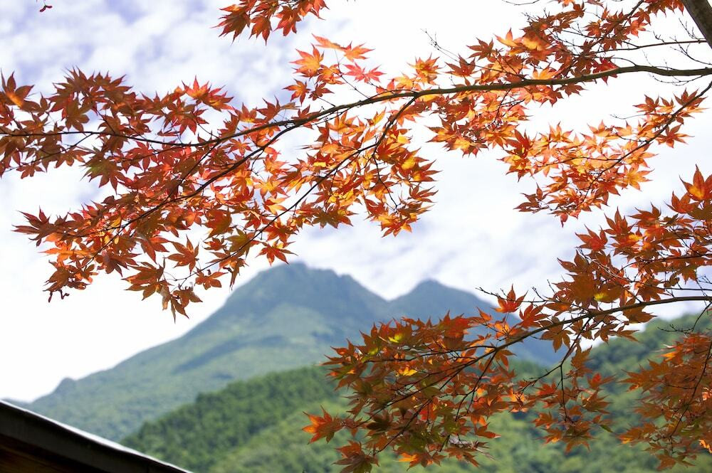 施設からの眺望