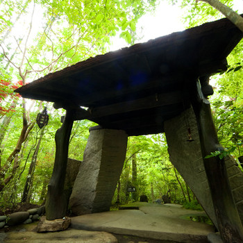 滝を見ながら温泉に浸かれる贅沢なお宿3654802