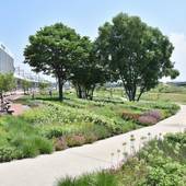 ホテルテトラ旭川駅前（北海道 ビジネスホテル） / 5