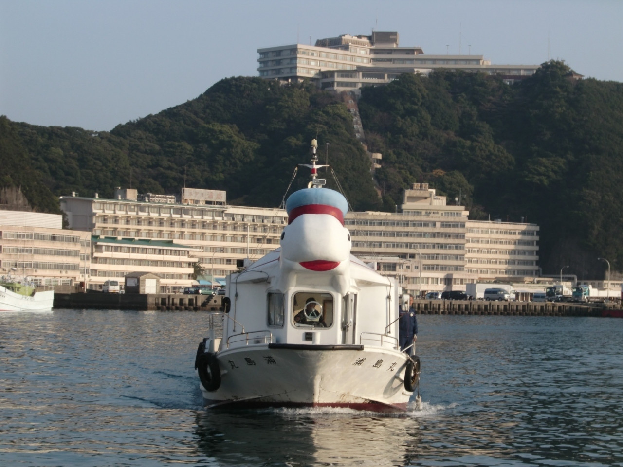 亀の背にのって竜宮城へ！718974