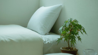 和室ツインベッド 禁煙