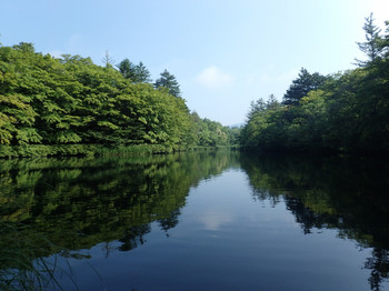 Escape from your busy daily life! Trip to nature-rich Karuizawa3432474