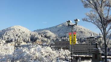 施設の敷地 / 25