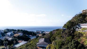 ランド ビュー / 16