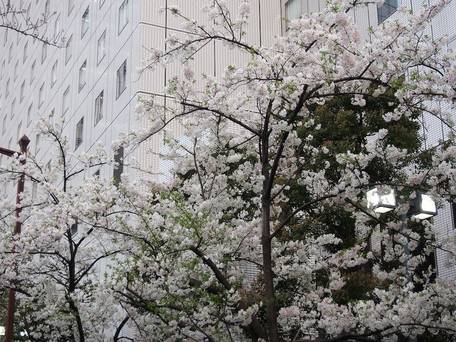 ニューオータニイン東京 / 4