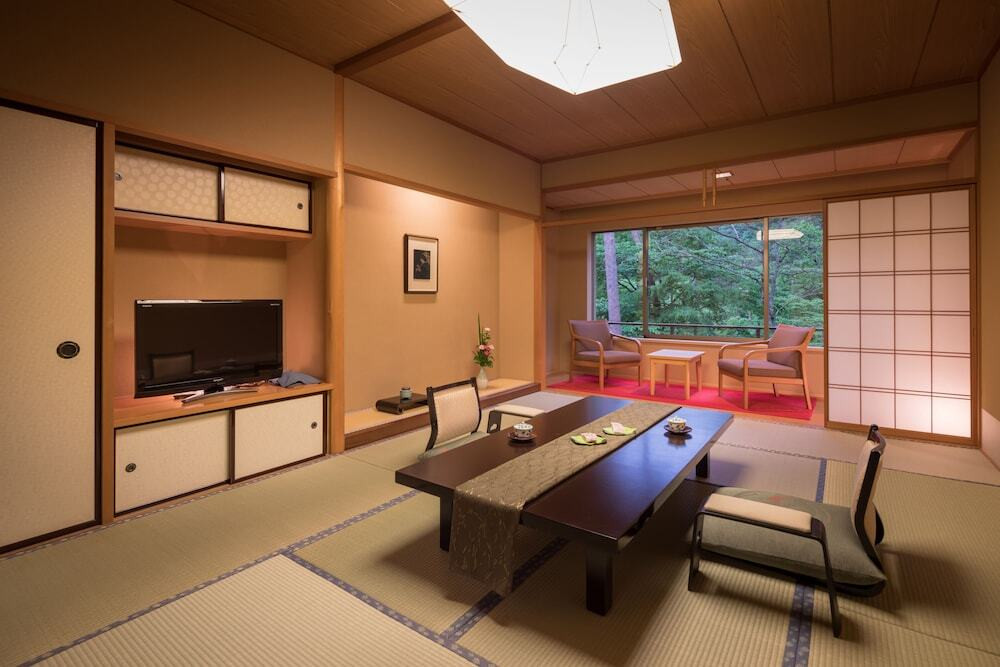 pH9.0の弱アルカリ温泉、美肌の湯4251499