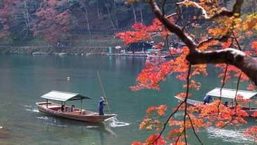 ランド ビュー / 12