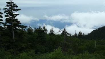 施設からの眺望 / 26